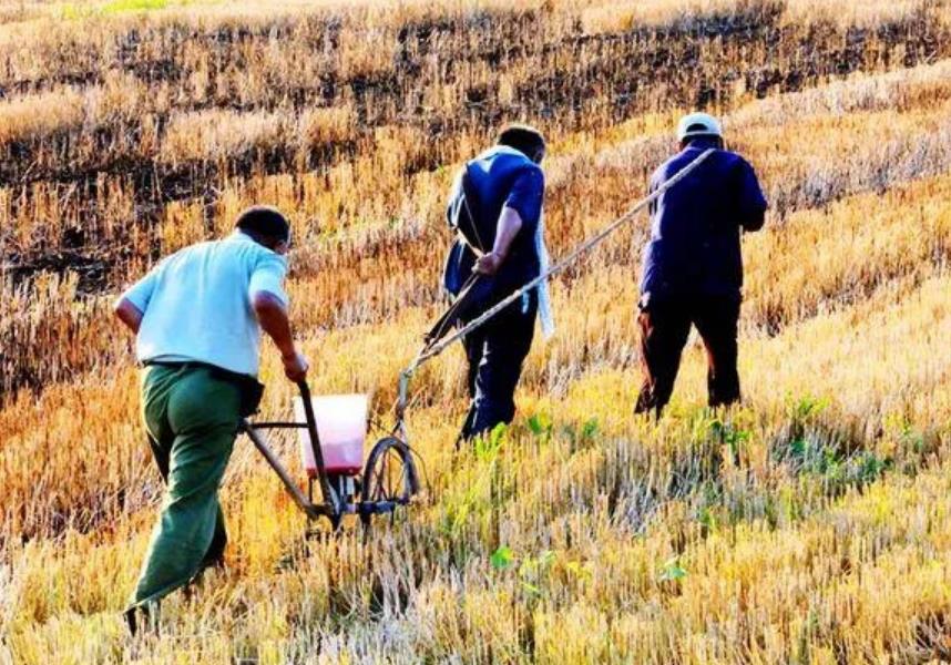 农村交过公粮的农民,2022年每月领1000元补贴,是真的吗?