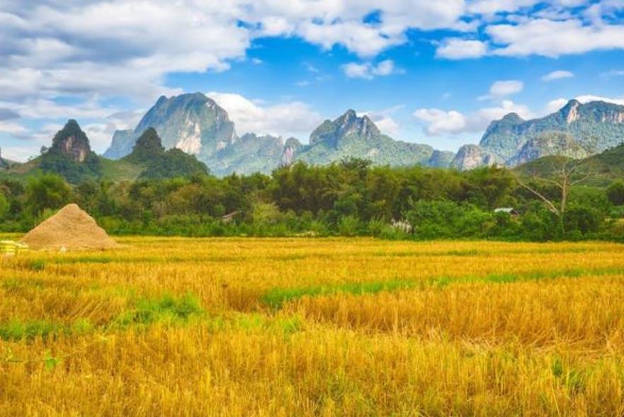 农民耕地只能用来种粮食?也能建这10样建筑,赶快了解一下 农民耕地只能用来种粮食?也能建这10样建筑,赶快了解一下