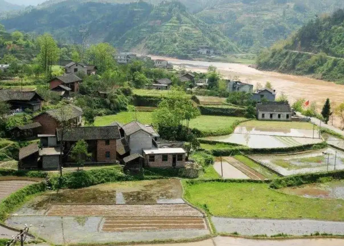 7月起村干部又要忙了严查3件事? 答案揭晓