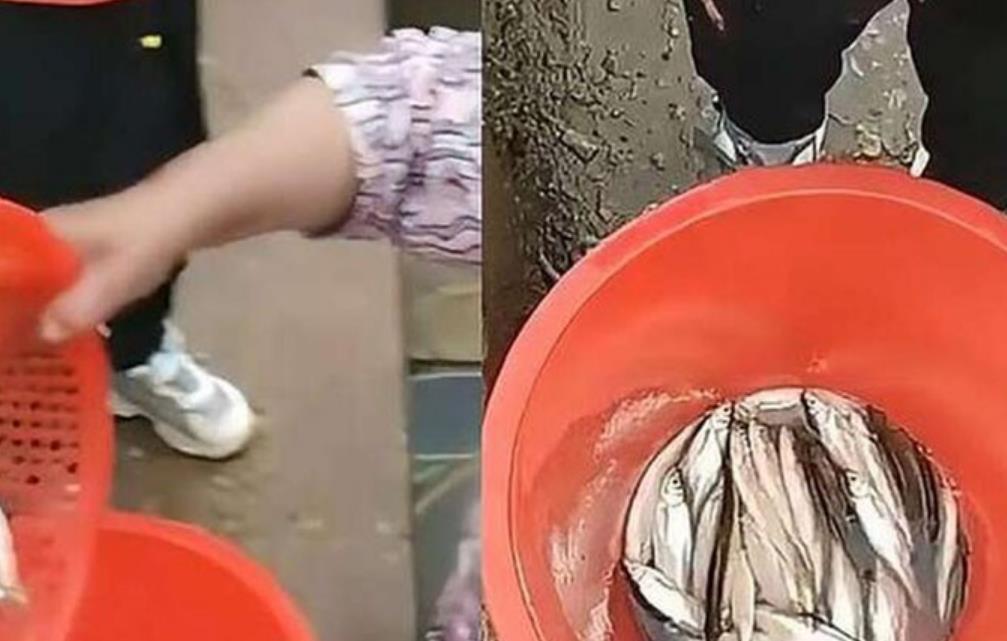 0220710082106.jpg 0220710082106.jpg