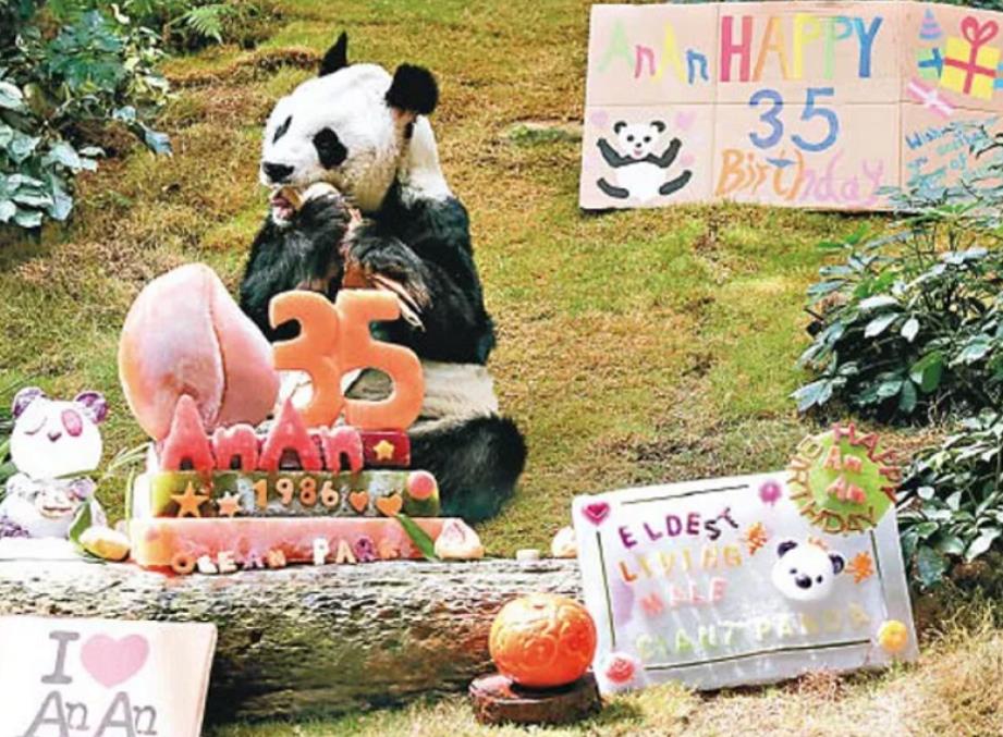 0220721104858.jpg 0220721104858.jpg