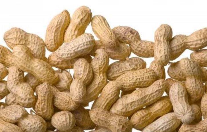 0221003135328.jpg 0221003135328.jpg