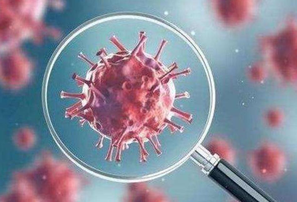 新冠病毒怕什么?一定要告诉你的家人 新冠病毒怕什么?一定要告诉你的家人