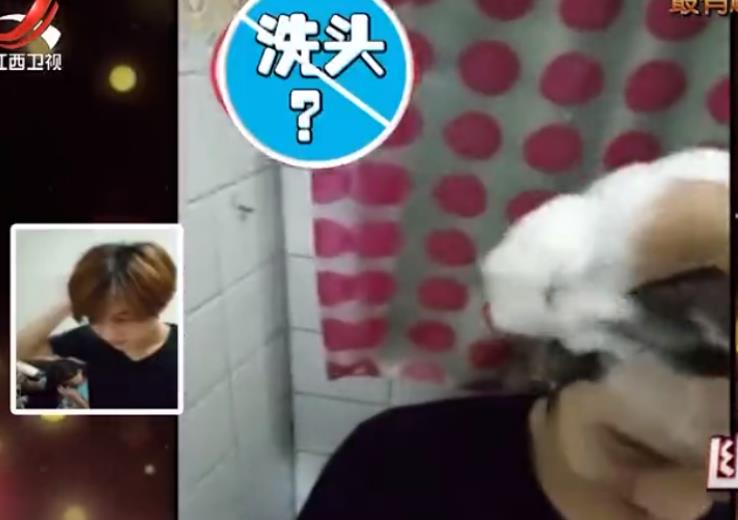 男子帮妻子吹头发,却往妻子头上倒洗发水,遭到了妻子的报复