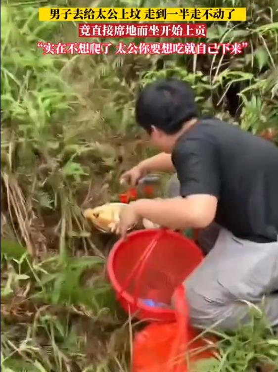 男子给太公上坟走一半累了,竟直接席地而坐开始上贡:想吃自己来