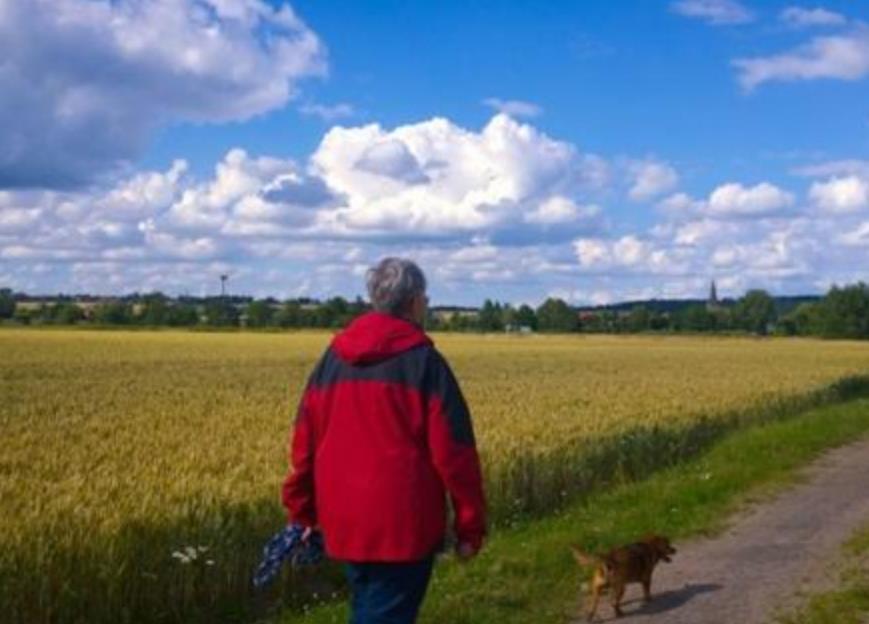 为什么不建议年过60岁的老人,重新寻找另一半?这3点是原因 为什么不建议年过60岁的老人,重新寻找另一半?这3点是原因