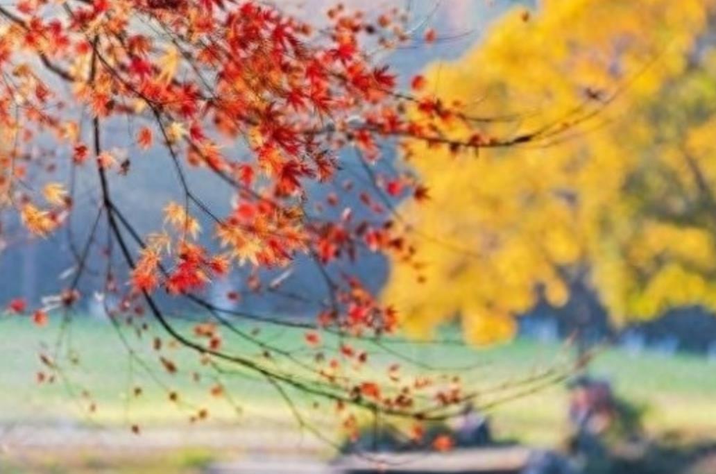 “不怕八月廿三淋,就怕八月廿三晴”,明日八月廿三,有啥说法?