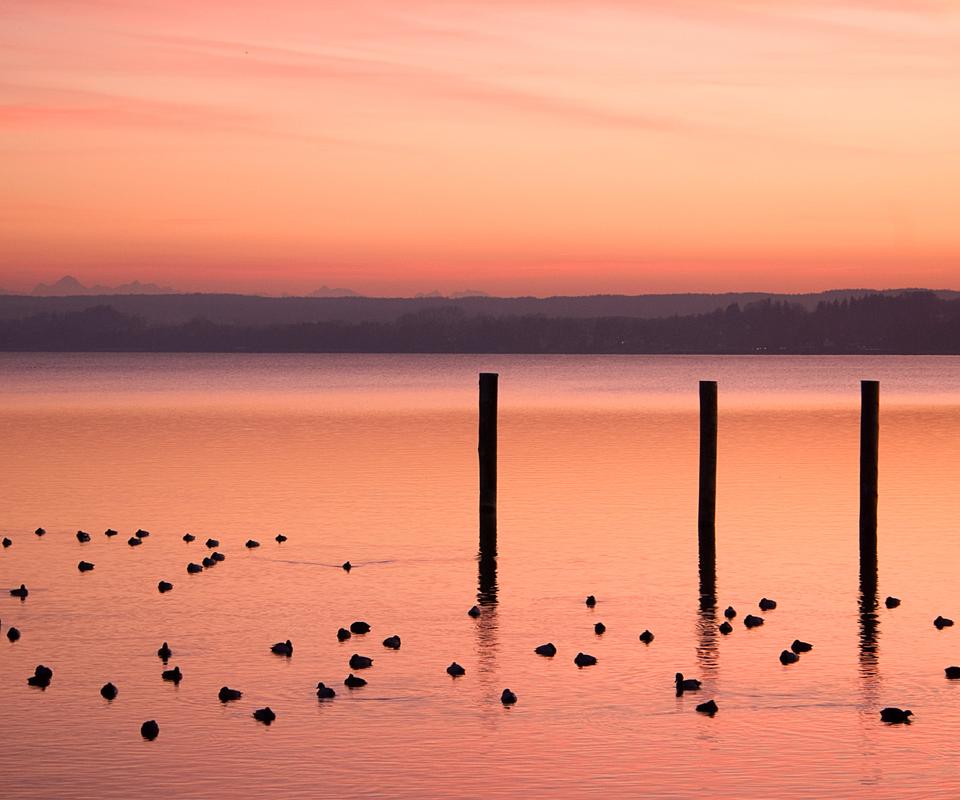 touxiang9.jpg touxiang9.jpg