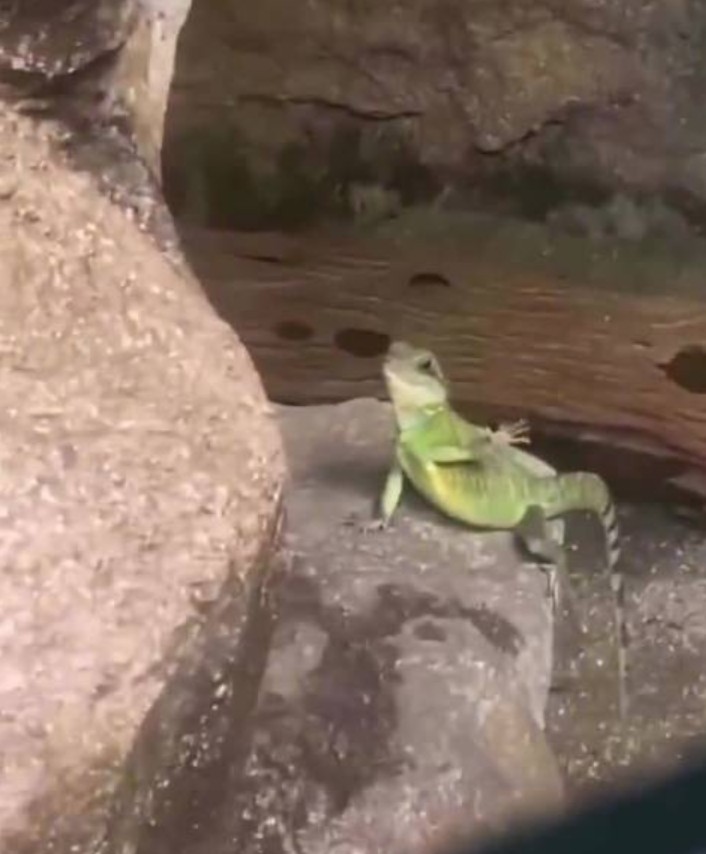 20260412212546.jpg 20260412212546.jpg